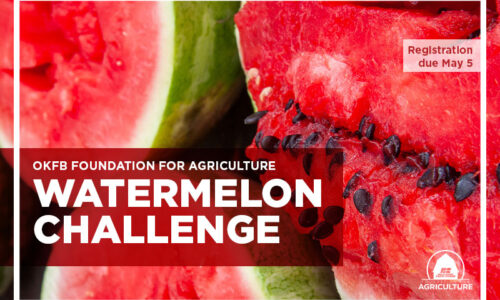 Watermelon Challenge 2025