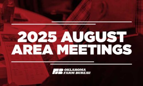 2025 August Area Meetings