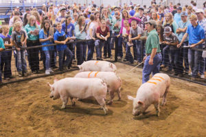 Oklahoma Farm Bureau State Fair Livestock Judging Contest