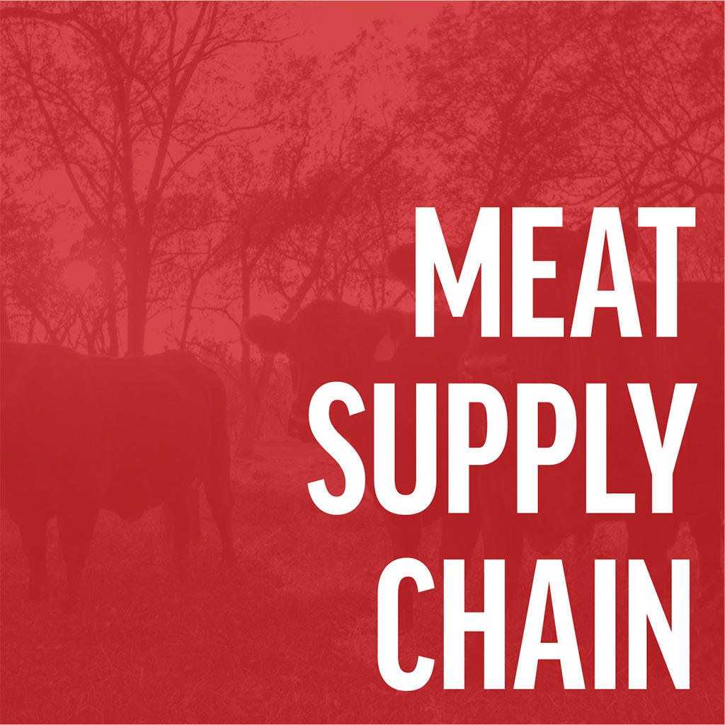 Meat Supply Chain
