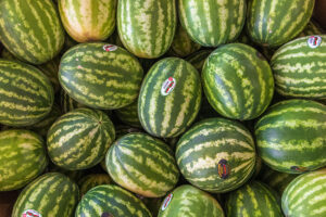 Oklahoma-grown watermelons