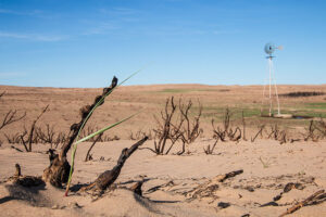 Oklahoma Pandhandle Wildfire Aftermath