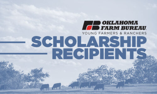 YFR Scholarship Winners